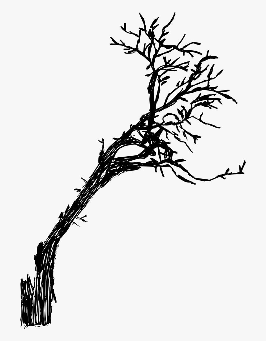 Stroke Drawing Dead - Twig, HD Png Download