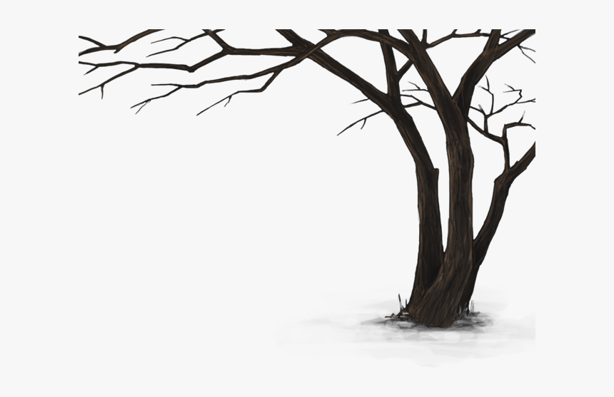 Dead Tree Png Hd, Transparent Png
