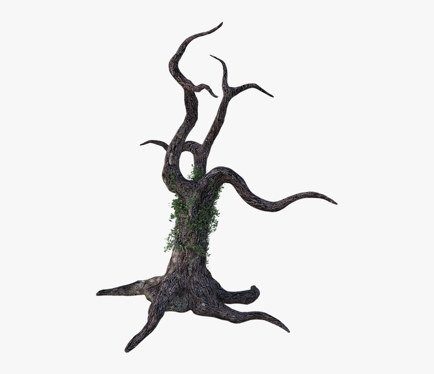 Dead Tree, Bark, Ivy, Limbs, Wood, Forest, Brown, Trunk - Illustration, HD Png Download