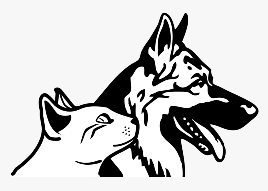 Animal Png, Transparent Png