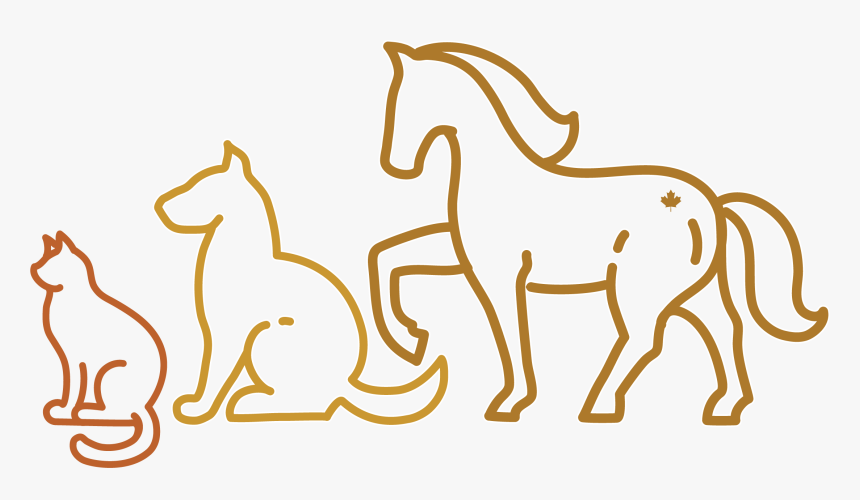 Line Drawing Of Animals - Dog, HD Png Download