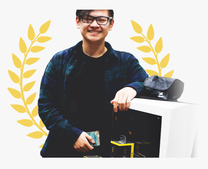 Transparent Background Laurel Leaves Png, Png Download