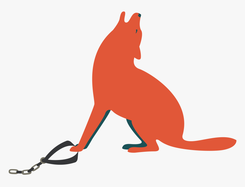 Puma, HD Png Download