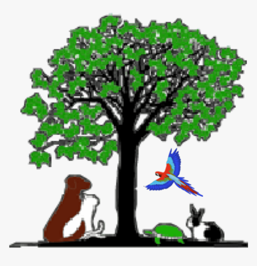 Como Park Animal Hospital, HD Png Download