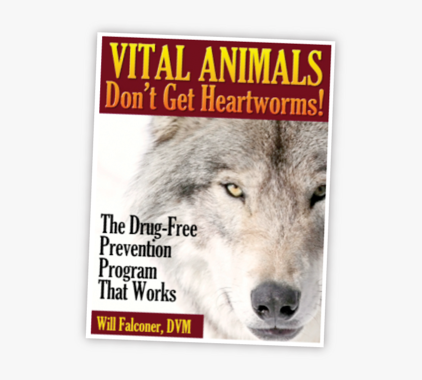 Newtovital - Dog Yawns, HD Png Download