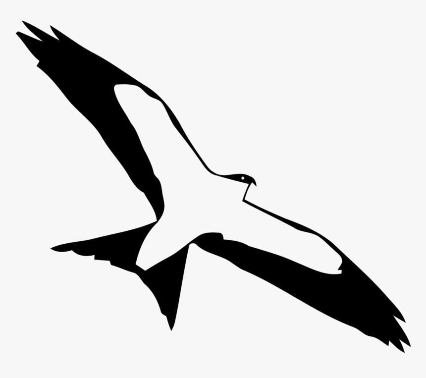 Free Living Animals - White Stork, HD Png Download