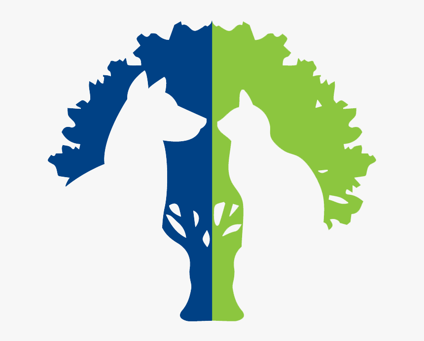 Cartoon Tree Silhouette Png, Transparent Png