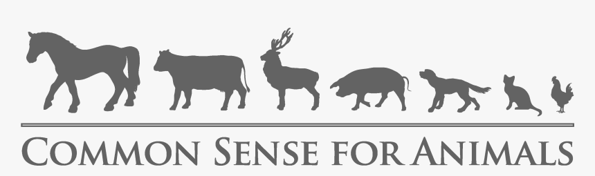 Common Sense For Animals, HD Png Download