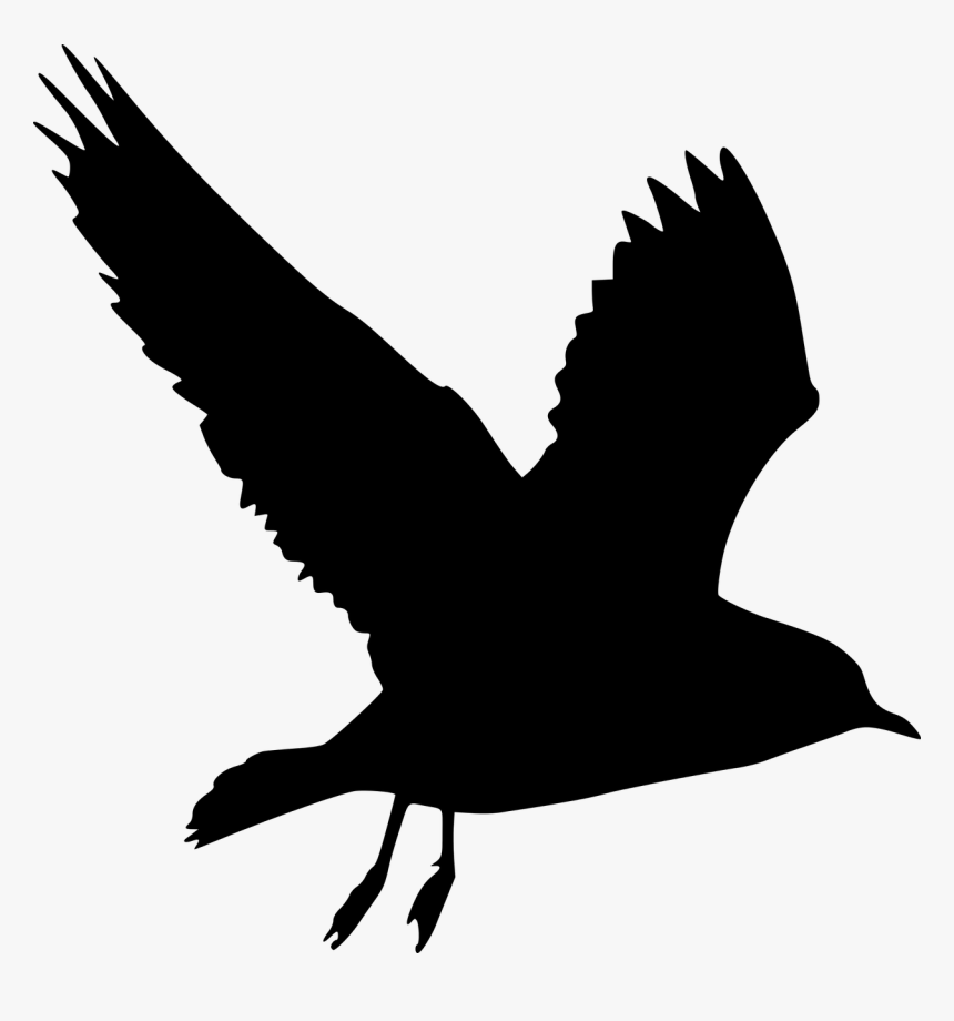 Silhouette, Bird, Peace, Dove, Flying, Olive, Branch - Bird Flying Silhouette Art, HD Png Download