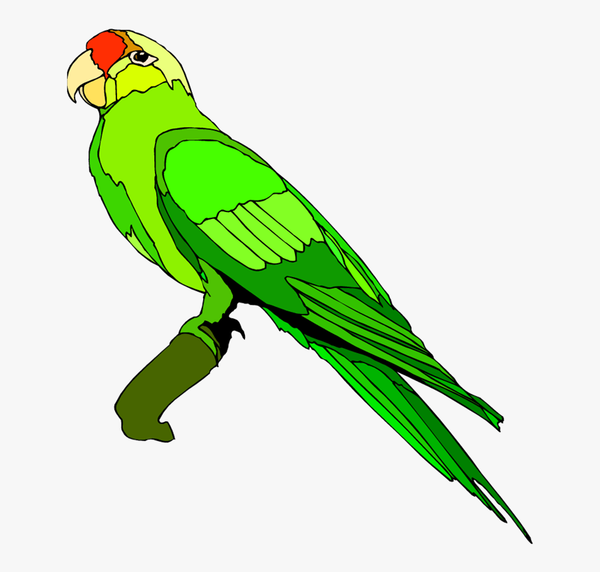 Green Parrot Cliparts Free Download - Parrot Clipart Png, Transparent Png