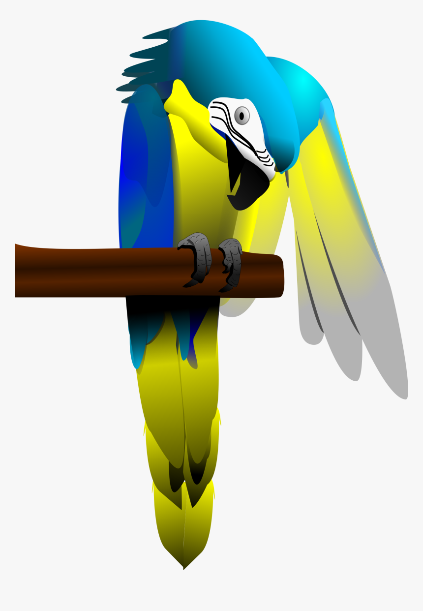 Blue And Yellow Macaw Parrot Clip Arts - Parrot, HD Png Download