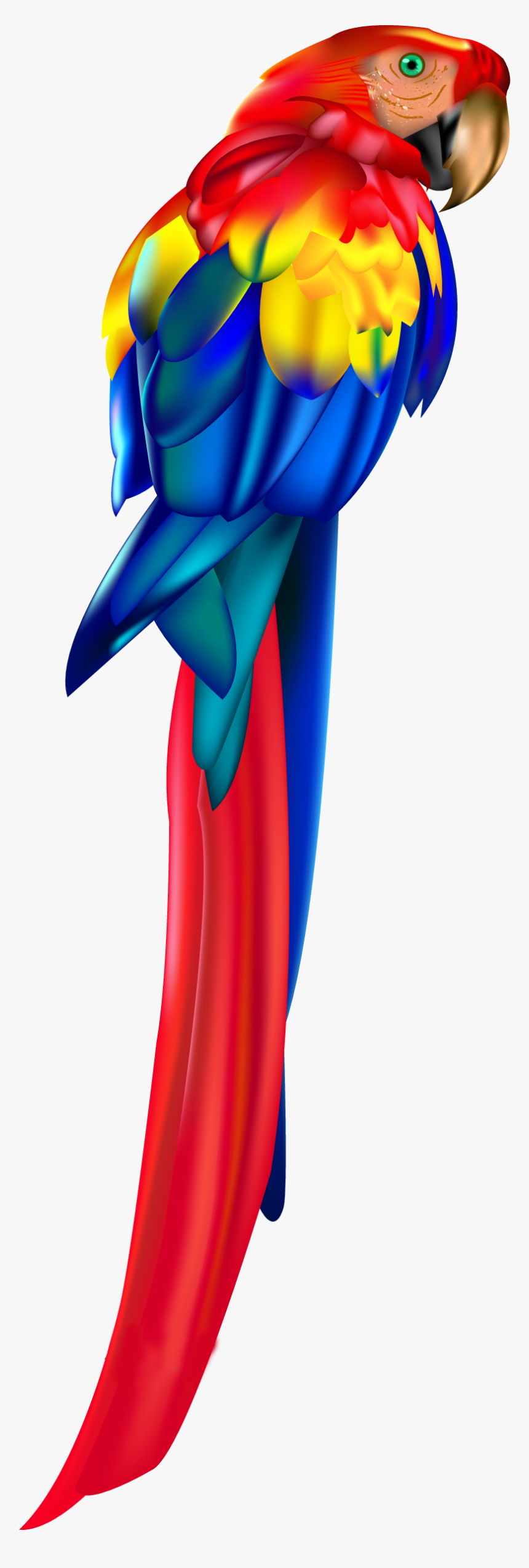 Red Parrot Png Clipart, Transparent Png