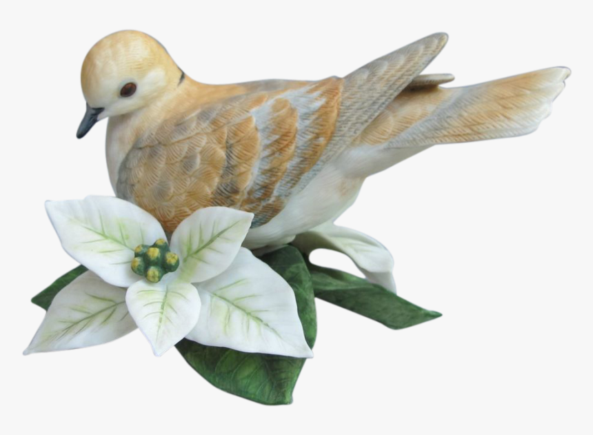 15 Turtle Doves Png For Free Download On Mbtskoudsalg - Turtle Dove Png, Transparent Png