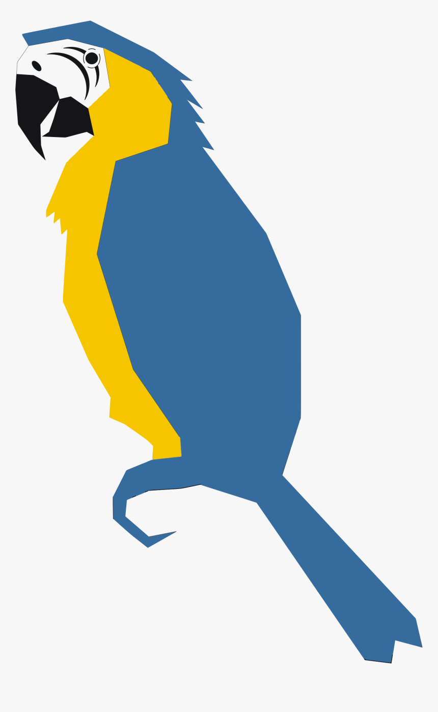 Polygonal Parrot Clip Arts - Parrot Graphic, HD Png Download