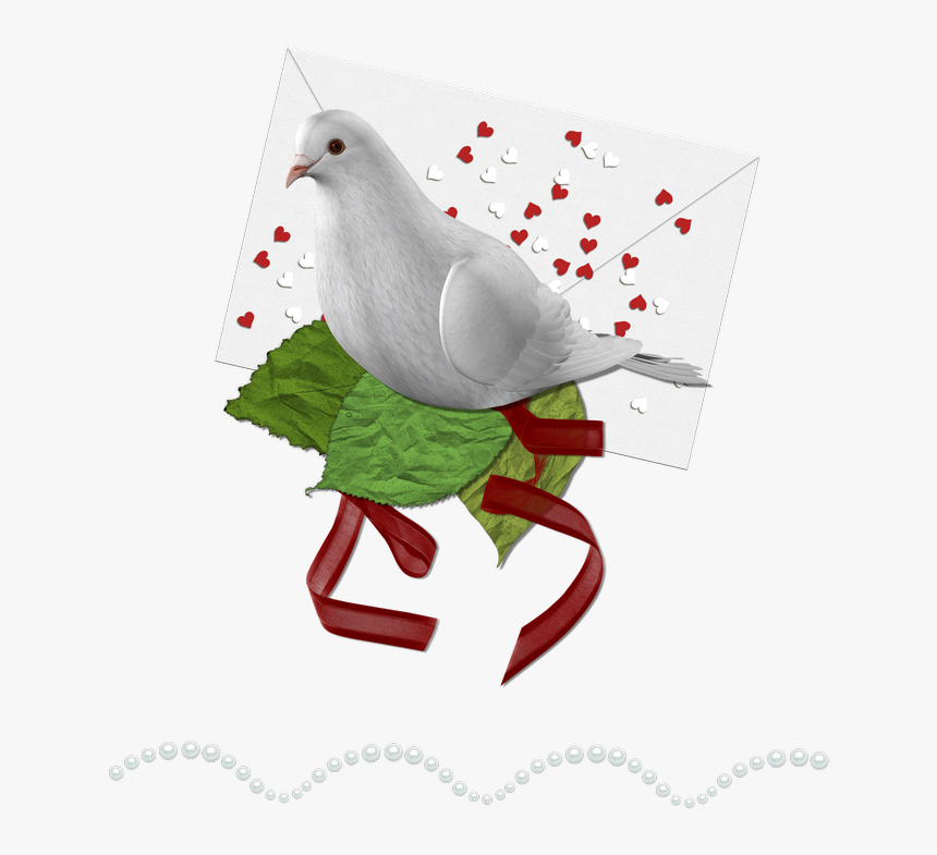 Doves Png, Transparent Png