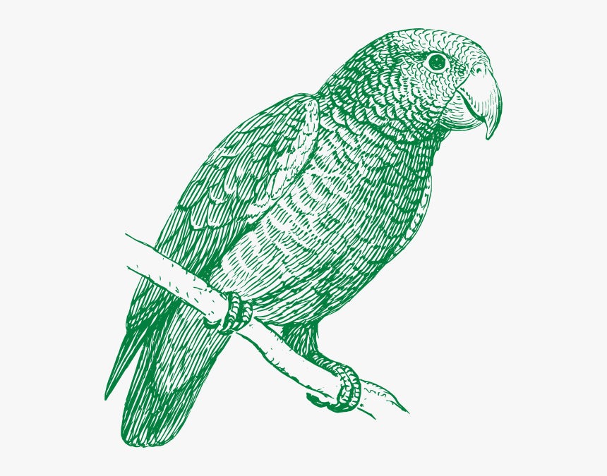 Green Parrot Svg Clip Arts - Parakeet Black And White, HD Png Download