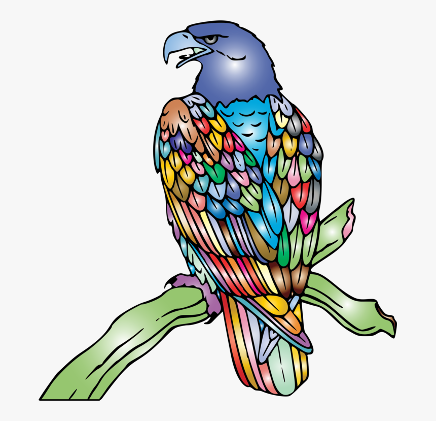Eagle Clip Art, HD Png Download