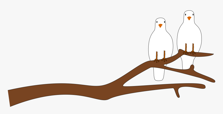Doves On A Branch For V Day Clip Arts - Branch Clipart, HD Png Download