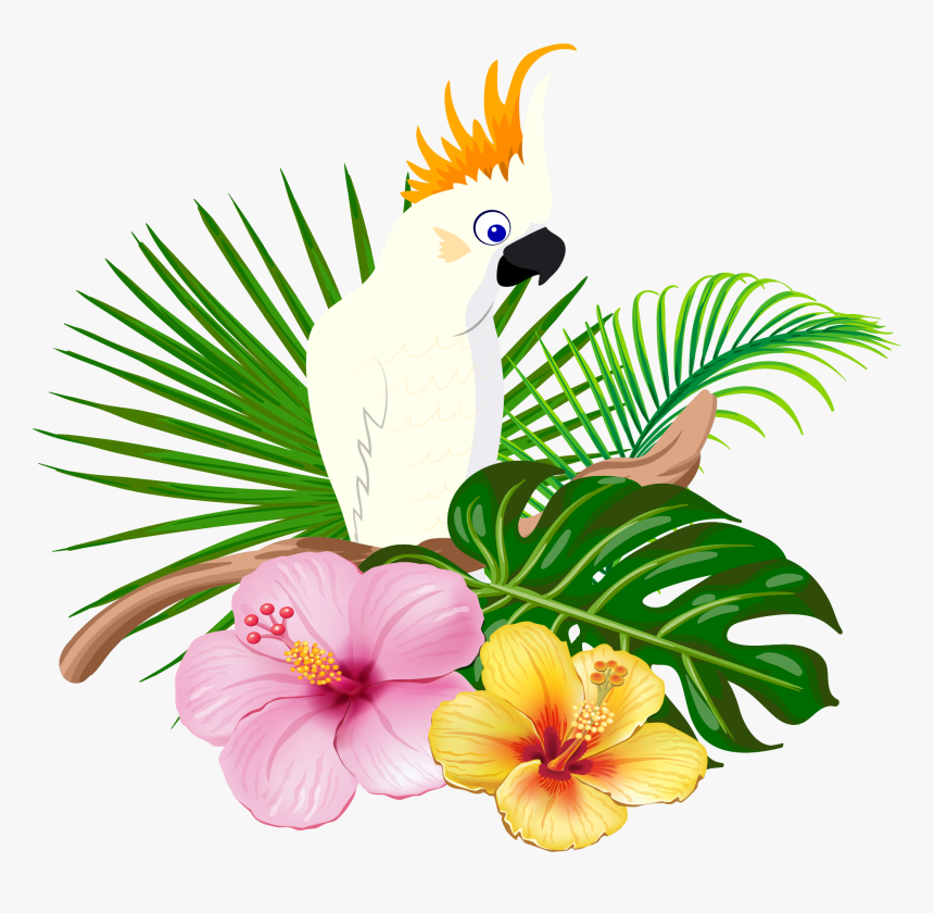 Parrot Bird Floral Design - Free Hawaiian Bird Clipart, HD Png Download