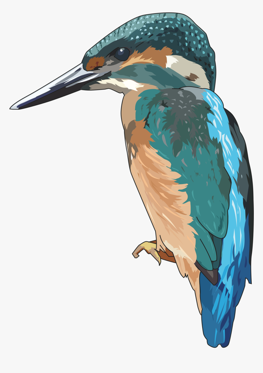Transparent Big Bird Png - Kingfisher Png, Png Download