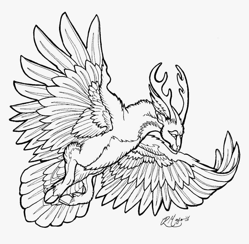 Line Art Drawing Peryton - Line Art, HD Png Download