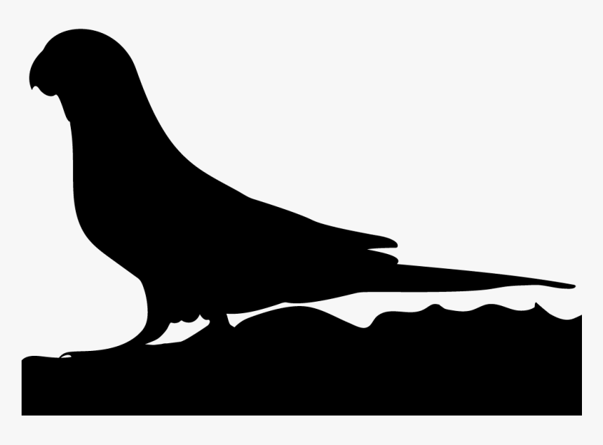 Parrot, HD Png Download