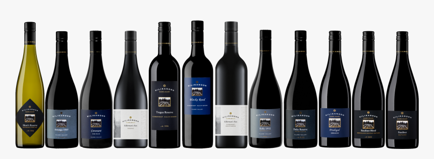 Mundus Vini Gold Medal Wines Dozen Offer - Glass Bottle, HD Png Download
