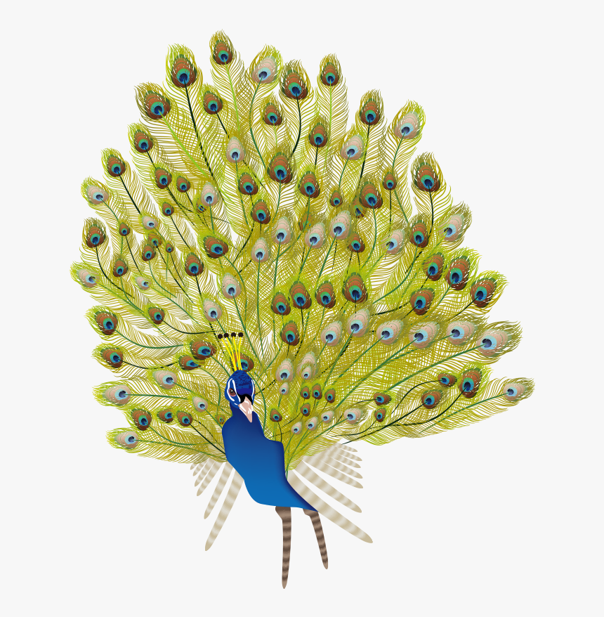 Peafowl, HD Png Download