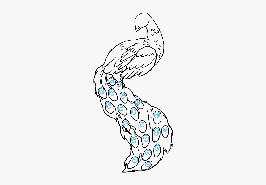 How To Draw Peacock - Peacock Drawing Easy, HD Png Download