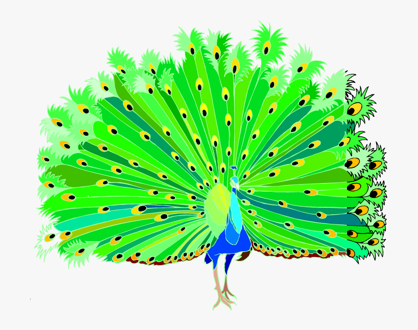 Transparent Pajamas Clipart - Peacock Clipart Png Hd, Png Download