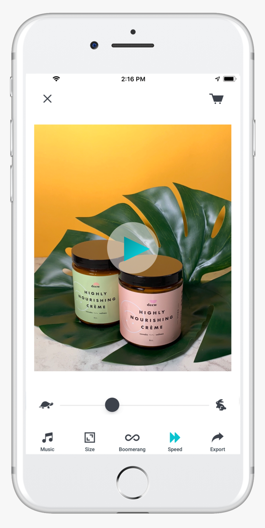 Iphone, HD Png Download