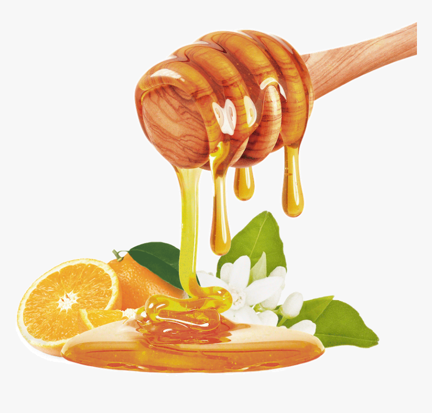 Honey Png, Transparent Png