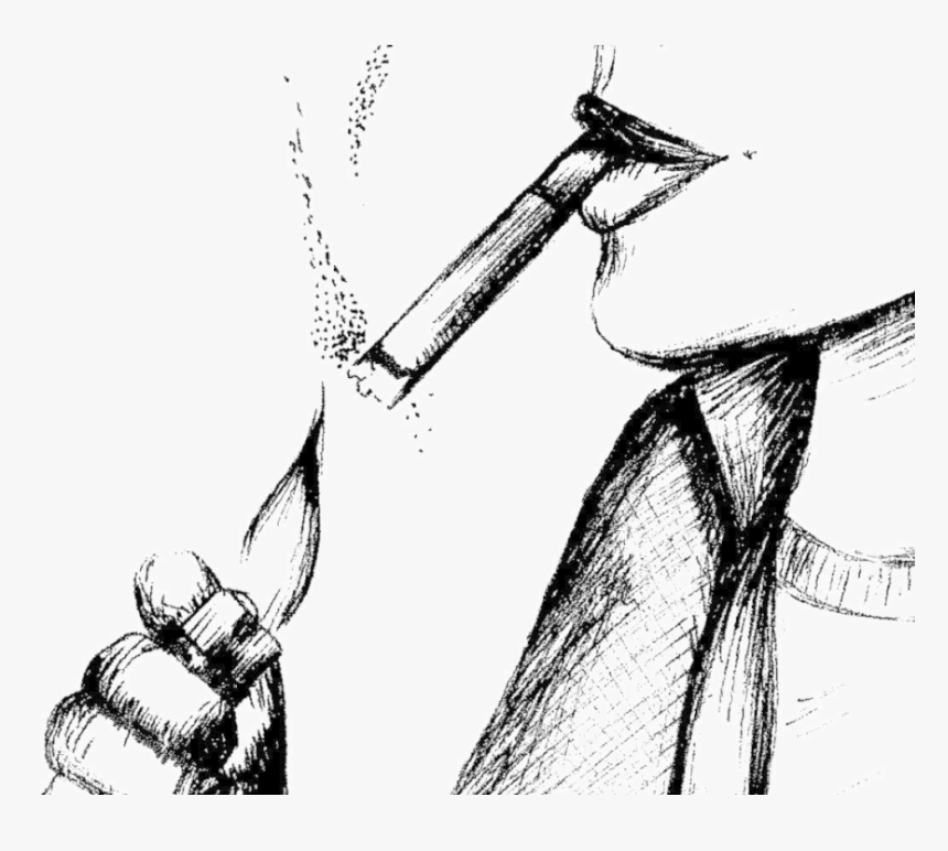 Sketch, HD Png Download