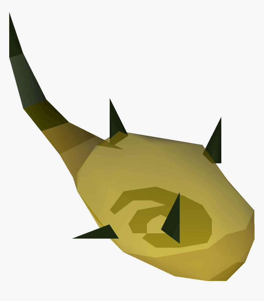 Shark, HD Png Download