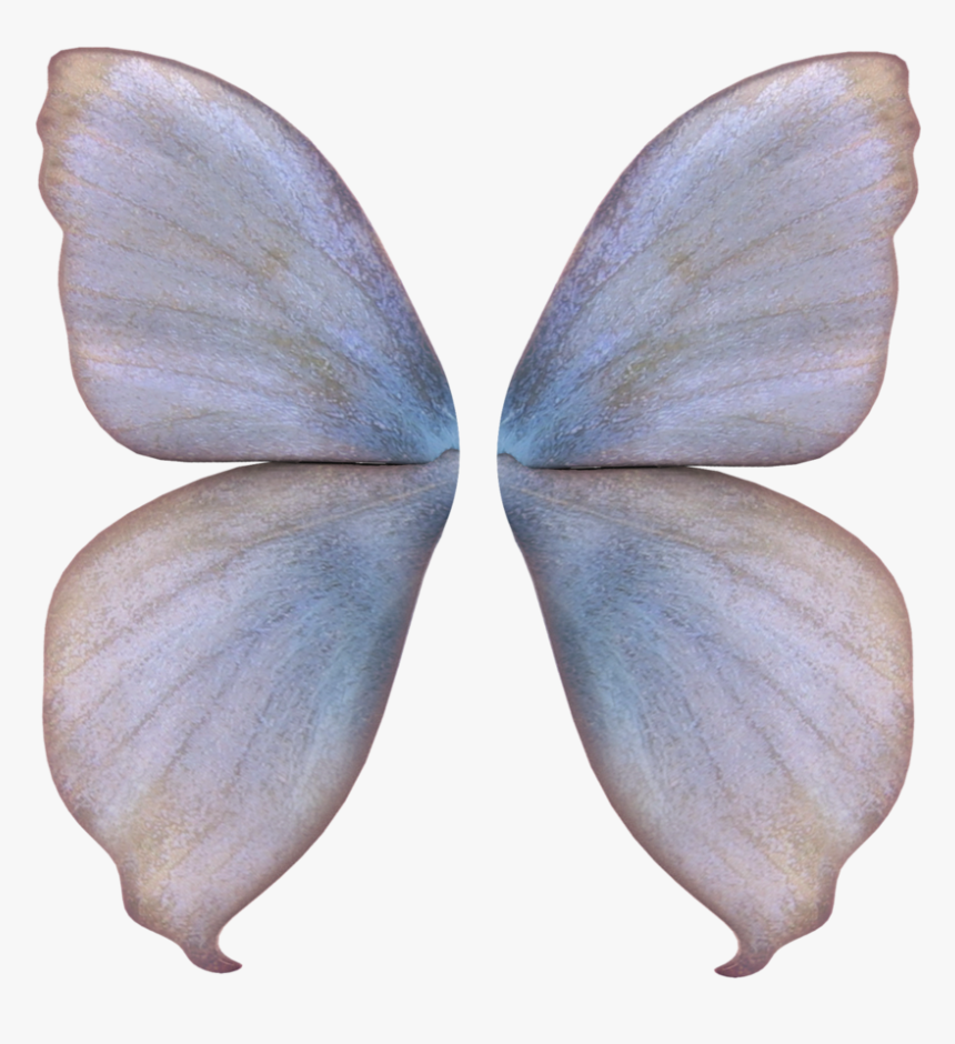 Fairy Wings Png, Transparent Png