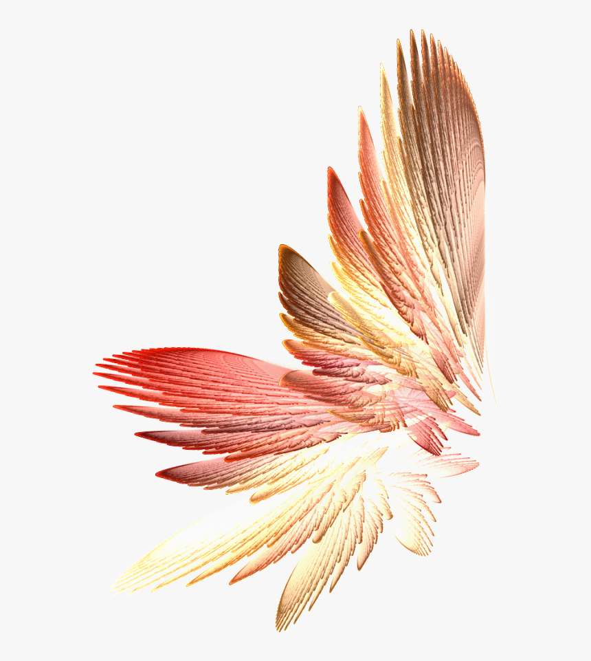 Tinkerbell Wings Png Download - Fall Fairy Wings Png, Transparent Png