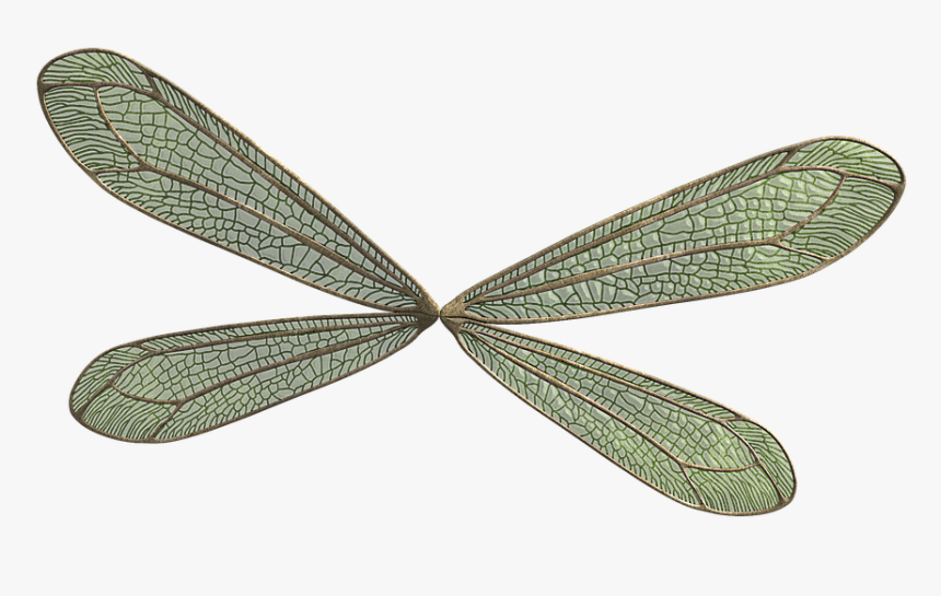 Wing, Elf, Fairy, Fae, Fantasy, Magic, Fairy Tales - Fantasy Winged Fairy, HD Png Download