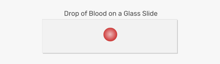 Circle, HD Png Download