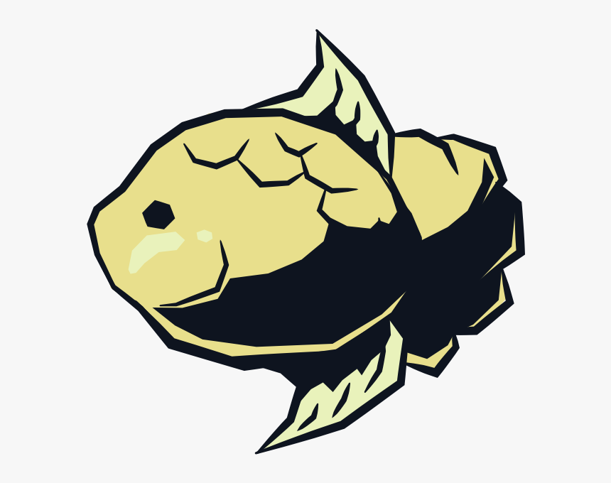 Pomacentridae, HD Png Download