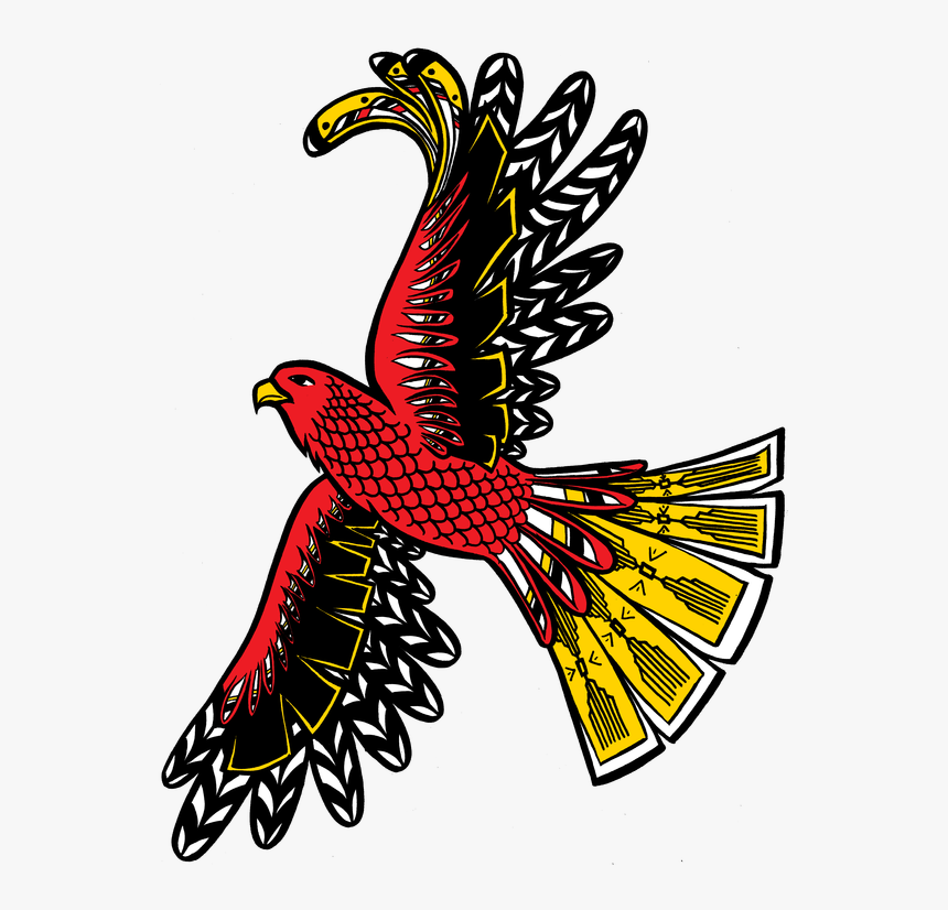 Eagles Clipart Life Cycle - Hawk, HD Png Download