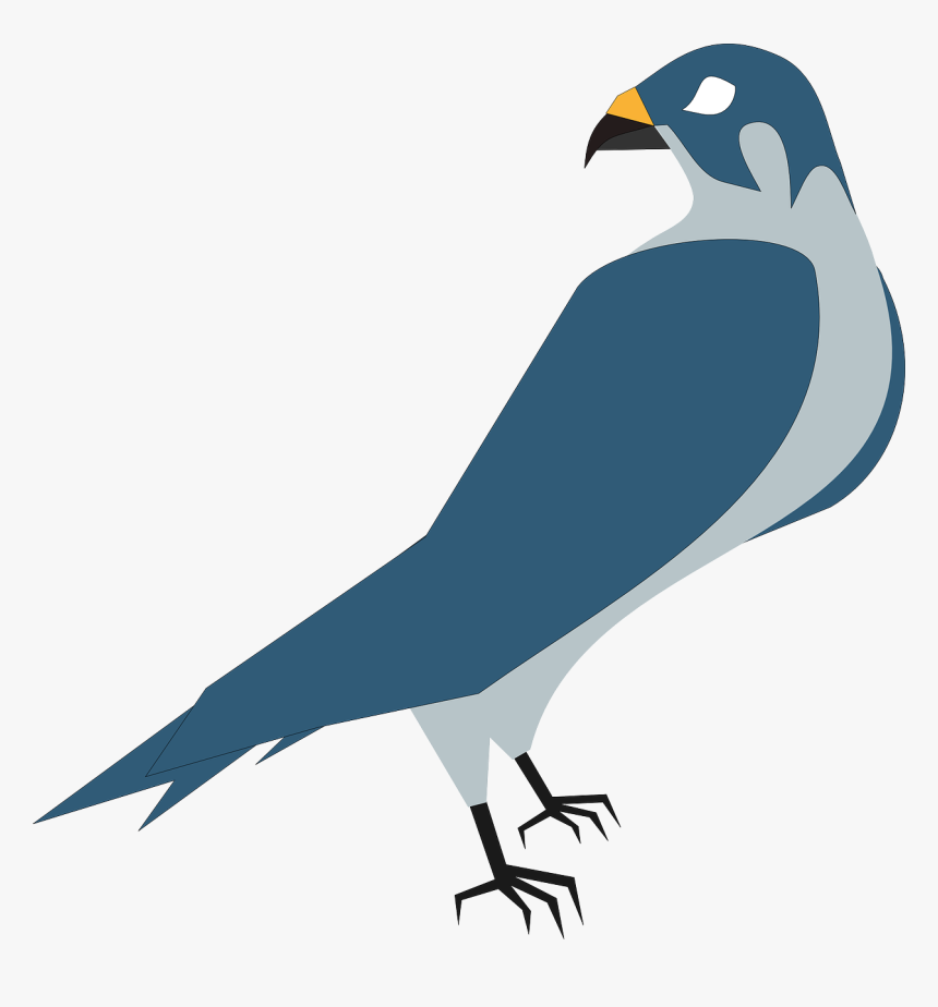 Falcão, Hawk - Animated Pictures Of Hawks, HD Png Download