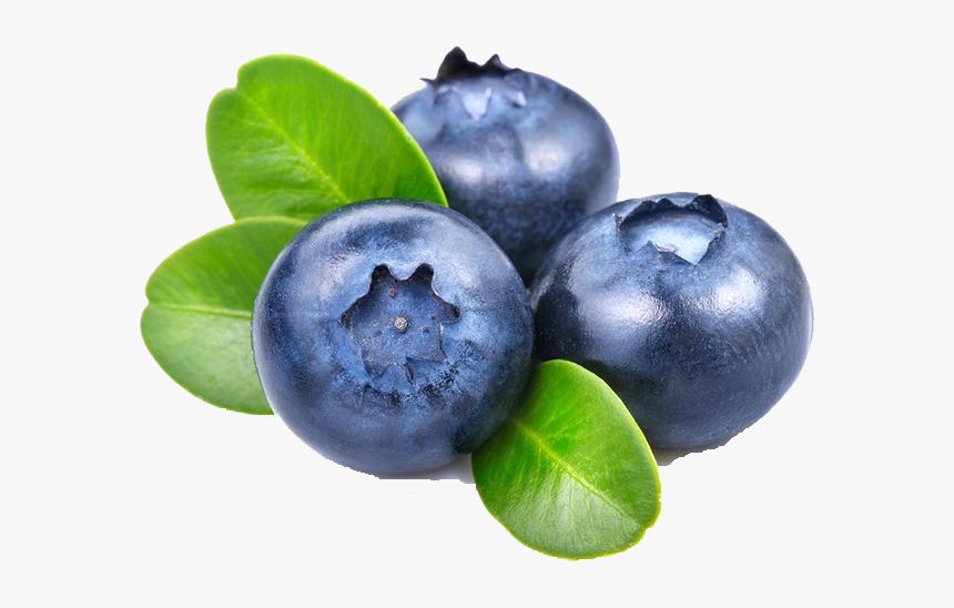 Blueberry Png File - Transparent Background Blueberry Png, Png Download