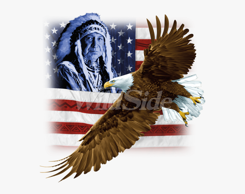 Transparent Eagle Wings Spread Clipart Black And White - Hawk, HD Png Download