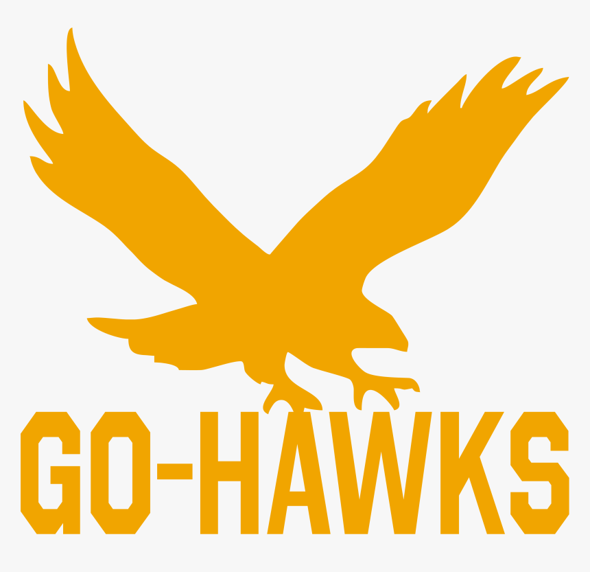 Red-tailed Hawk, HD Png Download
