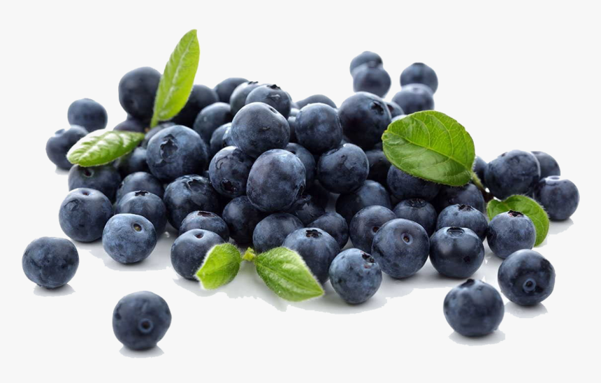 Blueberries Png Free Download - Arandanos En Png, Transparent Png
