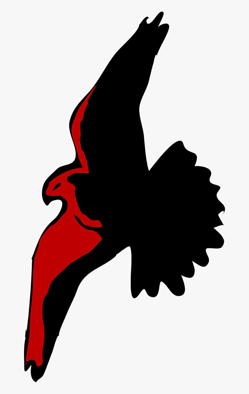 Eagle Silhouette Spread Flying Png Image - Flying Eagle Illustration Png, Transparent Png