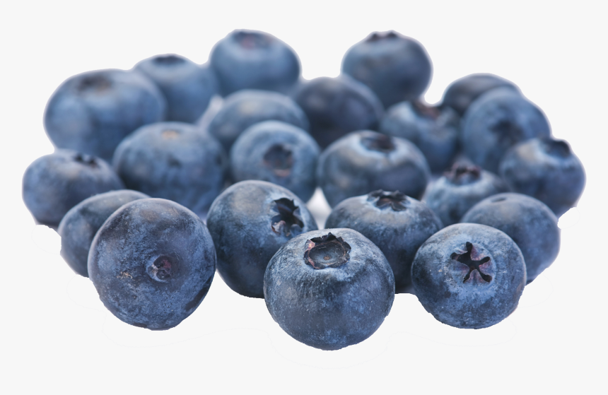 Blueberry Png - Blueberries Fruit, Transparent Png
