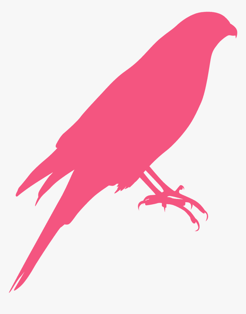 Perching Bird, HD Png Download