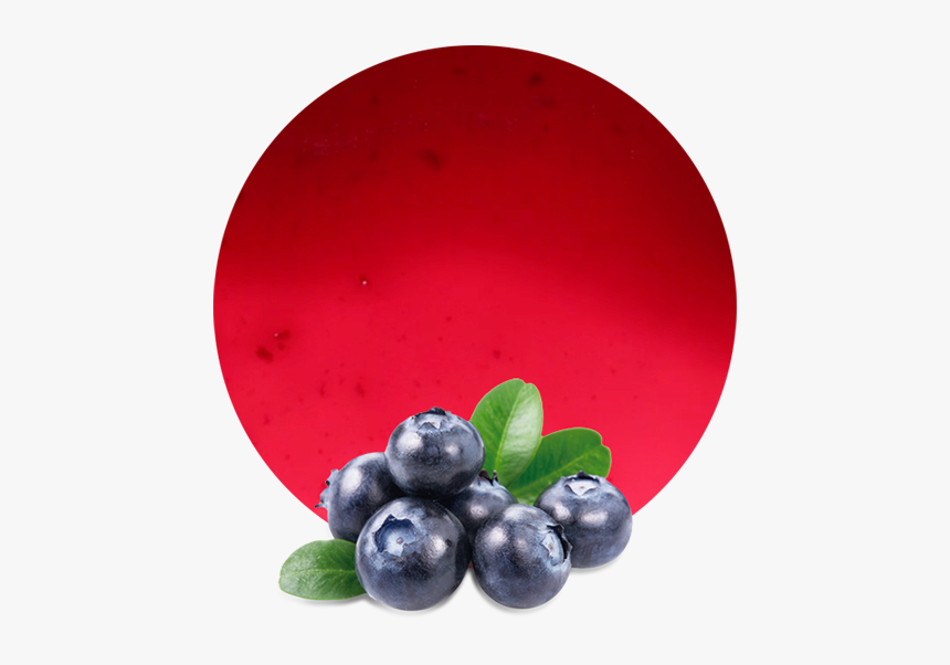 Blueberries Png, Transparent Png