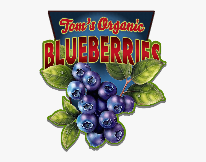 Transparent Blueberries Png - Vintage Blueberry Signs, Png Download